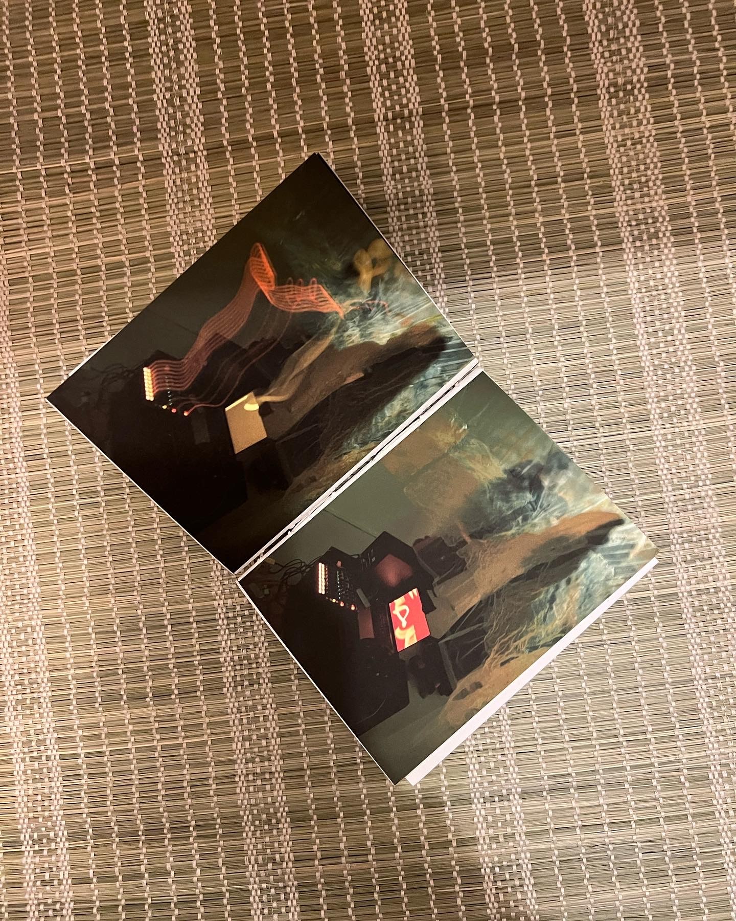 Illustration of seashells