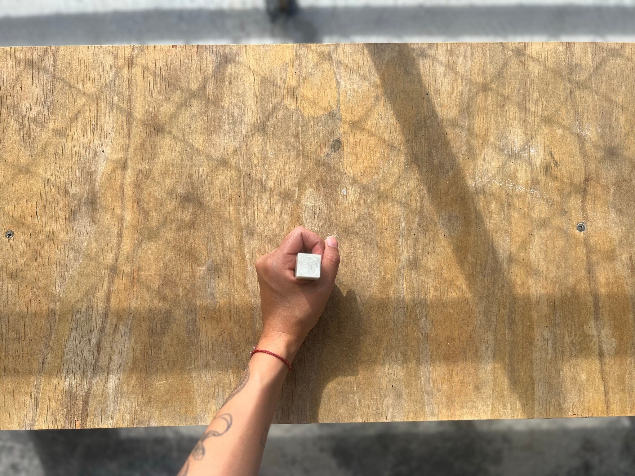 Illustration of seashells