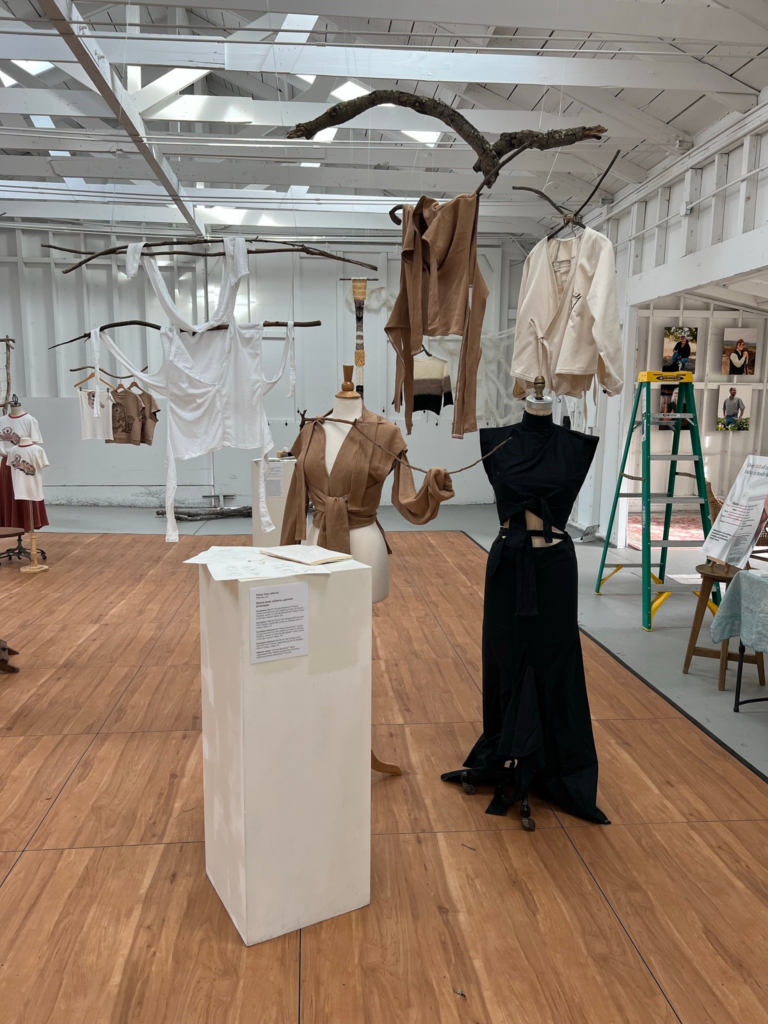 Illustration of a tree stump and other abstract shapes