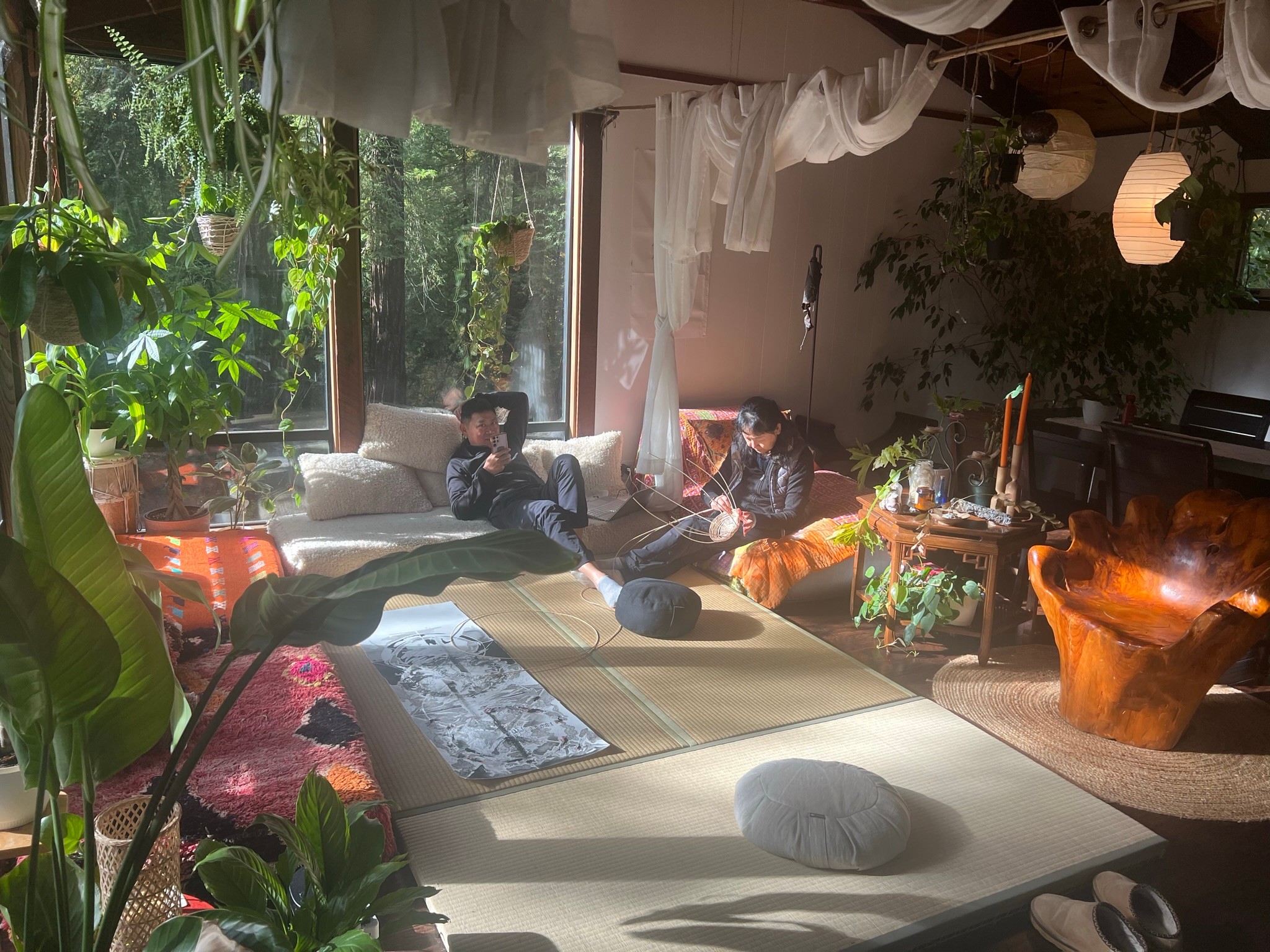 Image of a biome-like texture